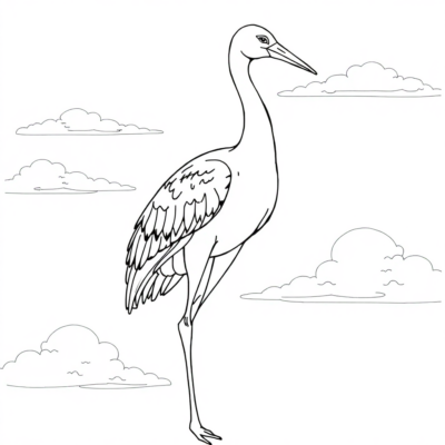 Crane Coloring Book