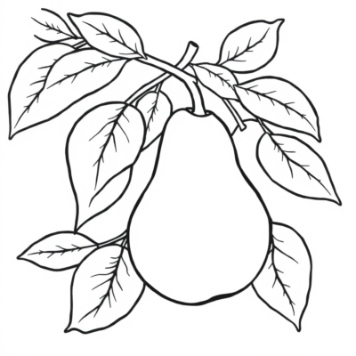 Pear Coloring Book