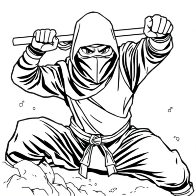 Ninja Coloring Book